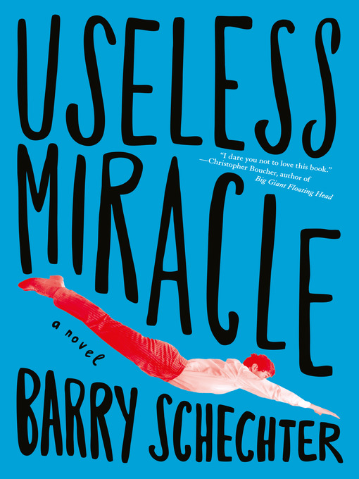 Title details for Useless Miracle by Barry Schechter - Available